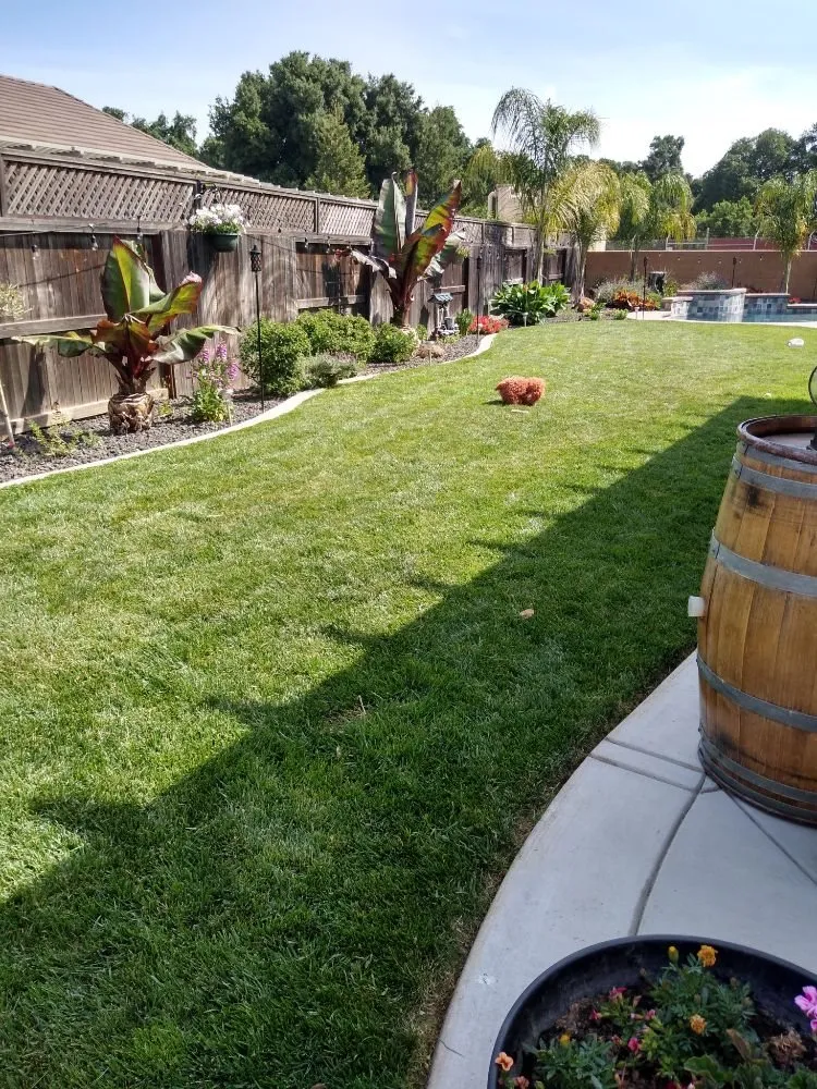 Custom yard maintenance in Lodi, CA - Rickys Gardens Landscaping