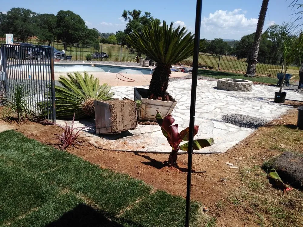 Local landscape installation in Lodi, CA - Rickys Gardens Landscaping