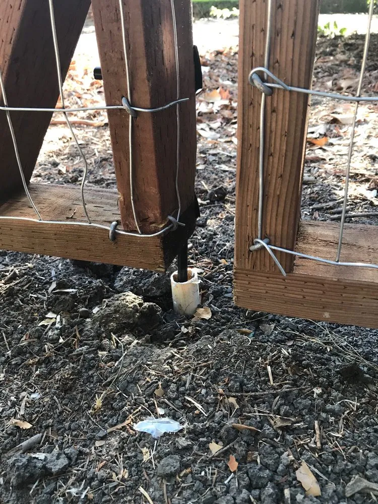 Trusted lawn care service in Lodi, CA - Rickys Gardens Landscaping