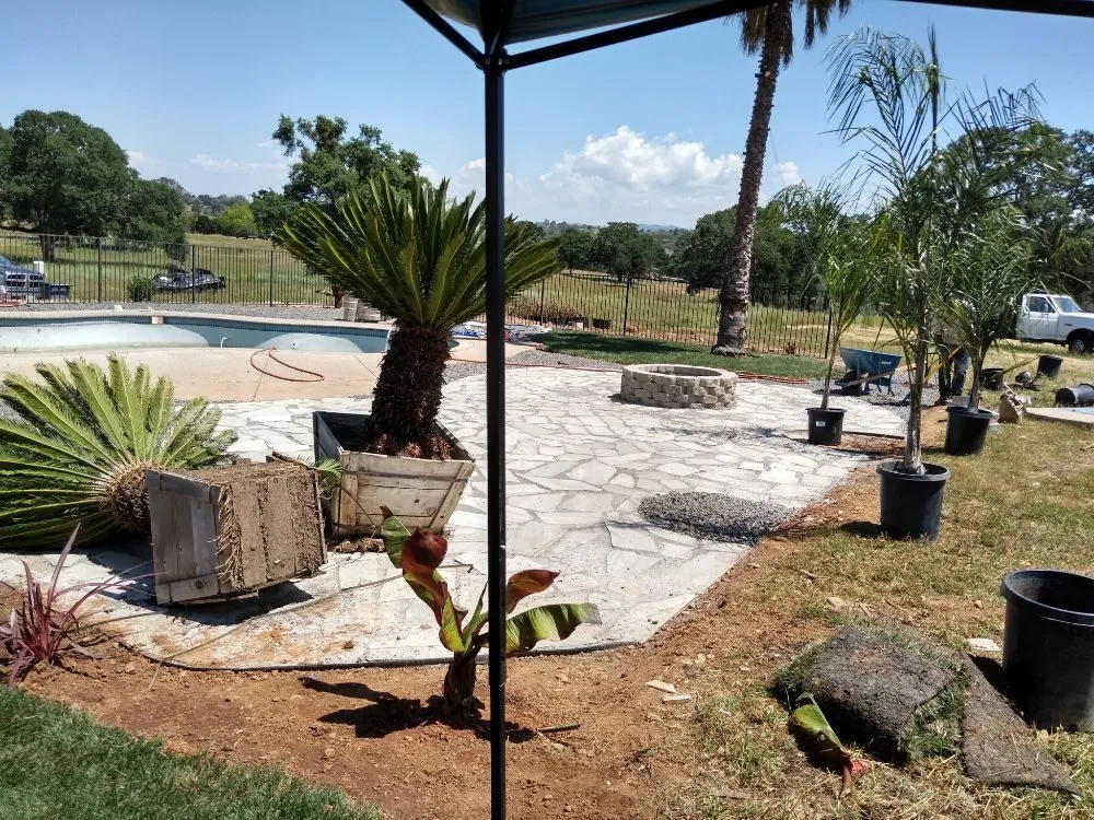 Affordable lawn mowing service experts serving Lodi, CA - Rickys Gardens Landscaping