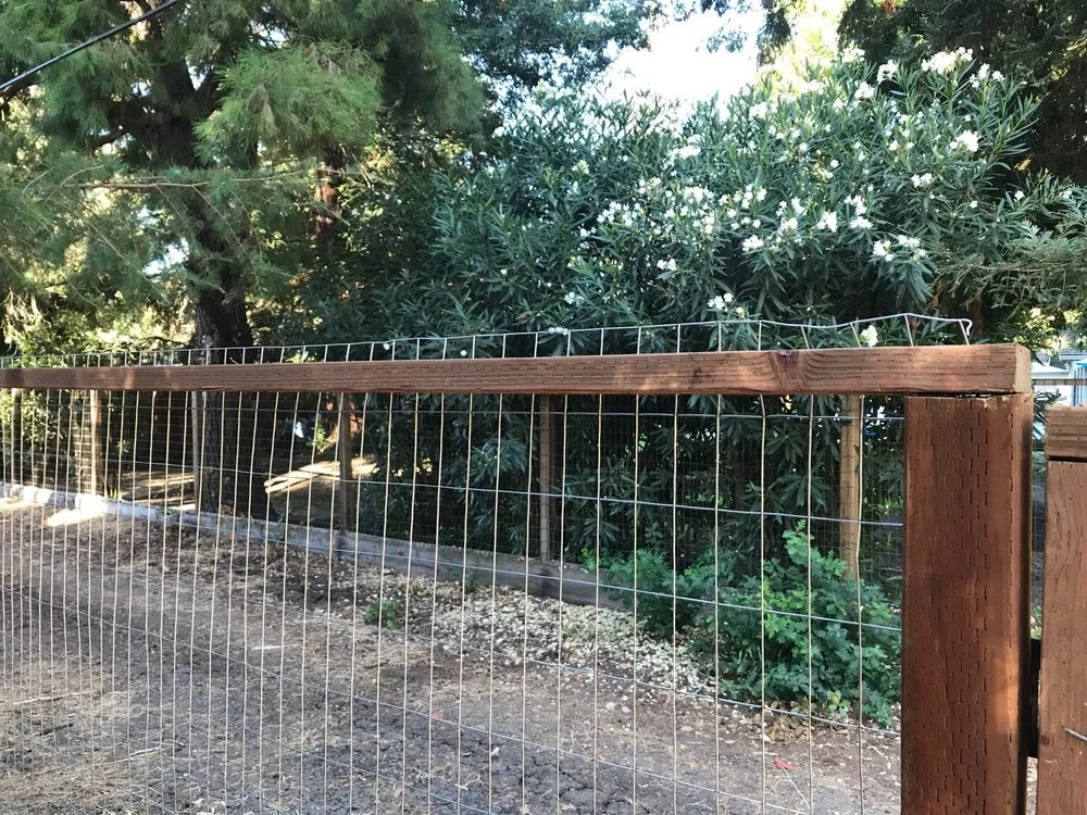 Local landscape design experts serving Lodi, CA - Rickys Gardens Landscaping