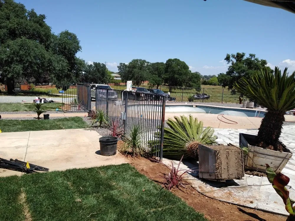 Trusted residential landscaping near you in Lodi, CA by Rickys Gardens Landscaping