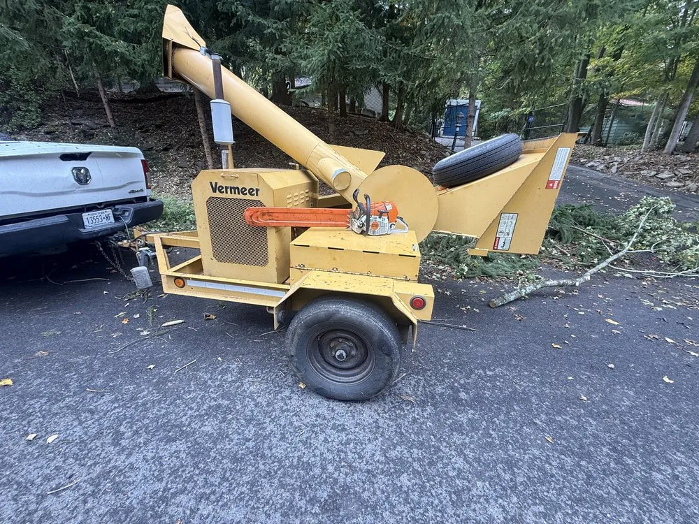 Reliable lawn care service in Liverpool, NY by Ricky's Home and Lawn