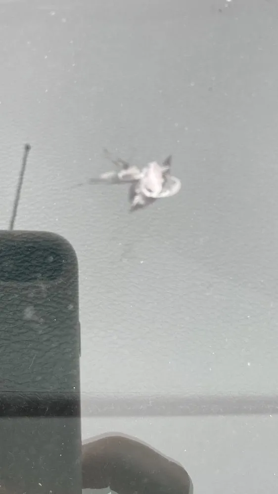 Custom garden landscaping for outdoor upgrades across Myrtle Beach, SC - Rickys Landscaping & Trucking