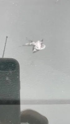 Rickys Landscaping & Trucking Logo