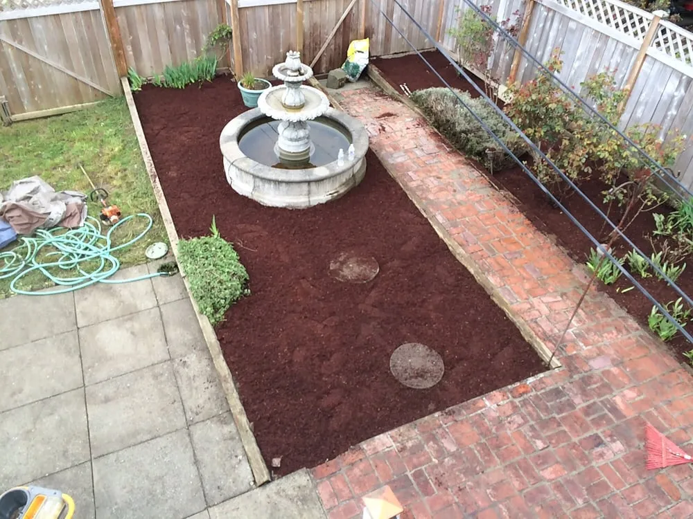 Top-rated lawn care service for residential properties across Seattle, WA - Ricky's Landscaping and Gardening Services