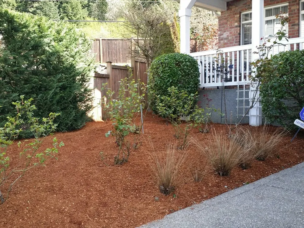 Reliable landscaping services experts serving Seattle, WA - Ricky's Landscaping and Gardening Services