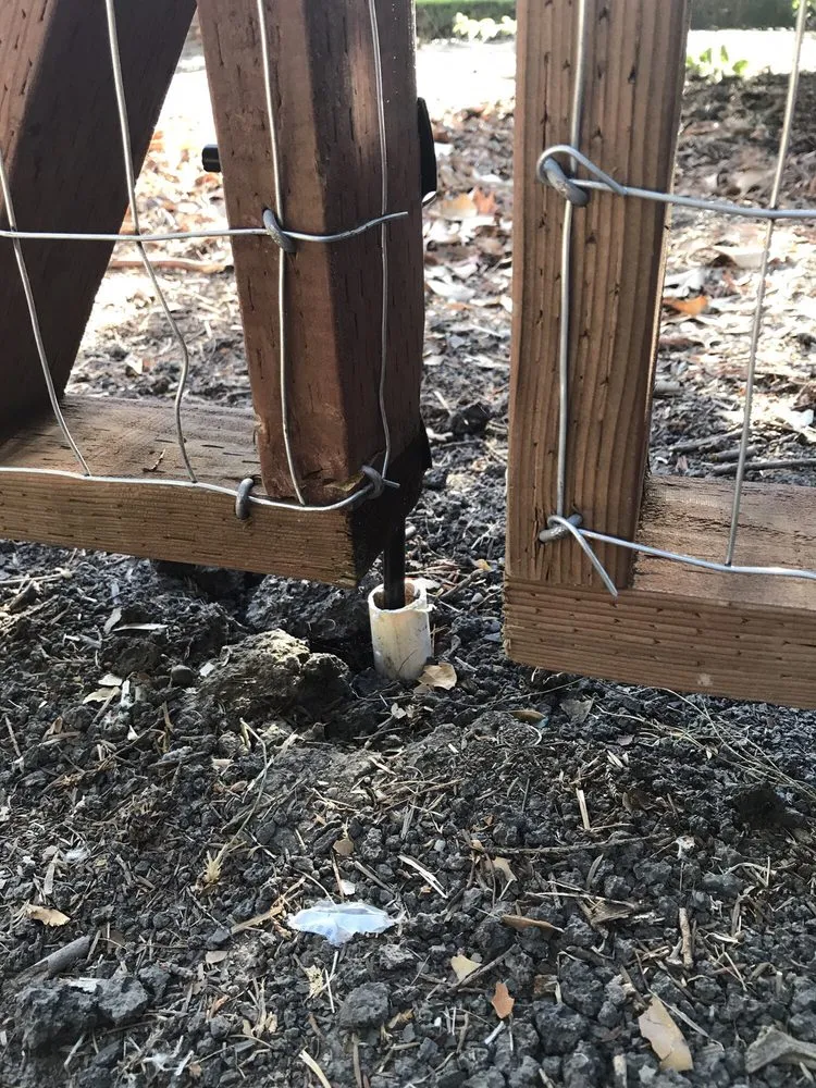 Custom lawn mowing service in Seattle, WA - Ricky's Landscaping and Gardening Services