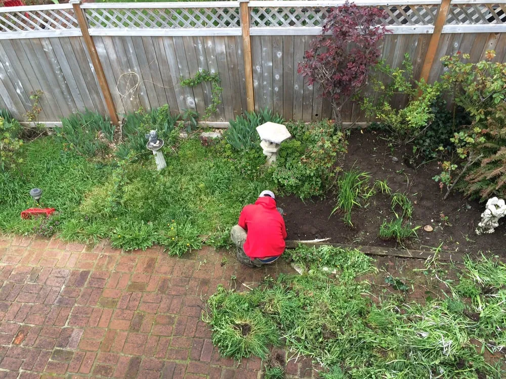 Trusted garden landscaping in Seattle, WA by Ricky's Landscaping and Gardening Services