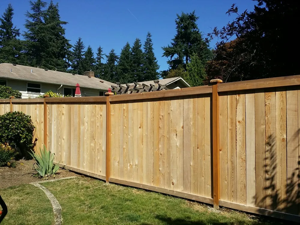 Trusted yard maintenance for beautiful yards across Seattle, WA - Ricky's Landscaping and Gardening Services