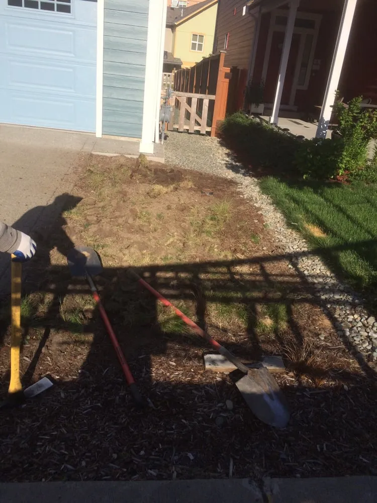 Local residential landscaping in Seattle, WA - Ricky's Landscaping and Gardening Services
