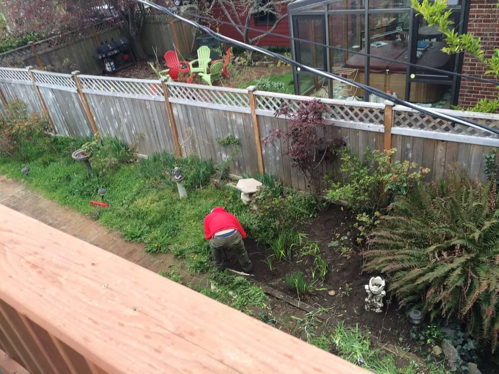 Expert lawn care service experts serving Seattle, WA - Ricky's Landscaping and Gardening Services