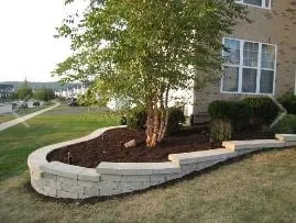 Local yard maintenance for beautiful yards in Grandview, TX by Ricky's Landscaping