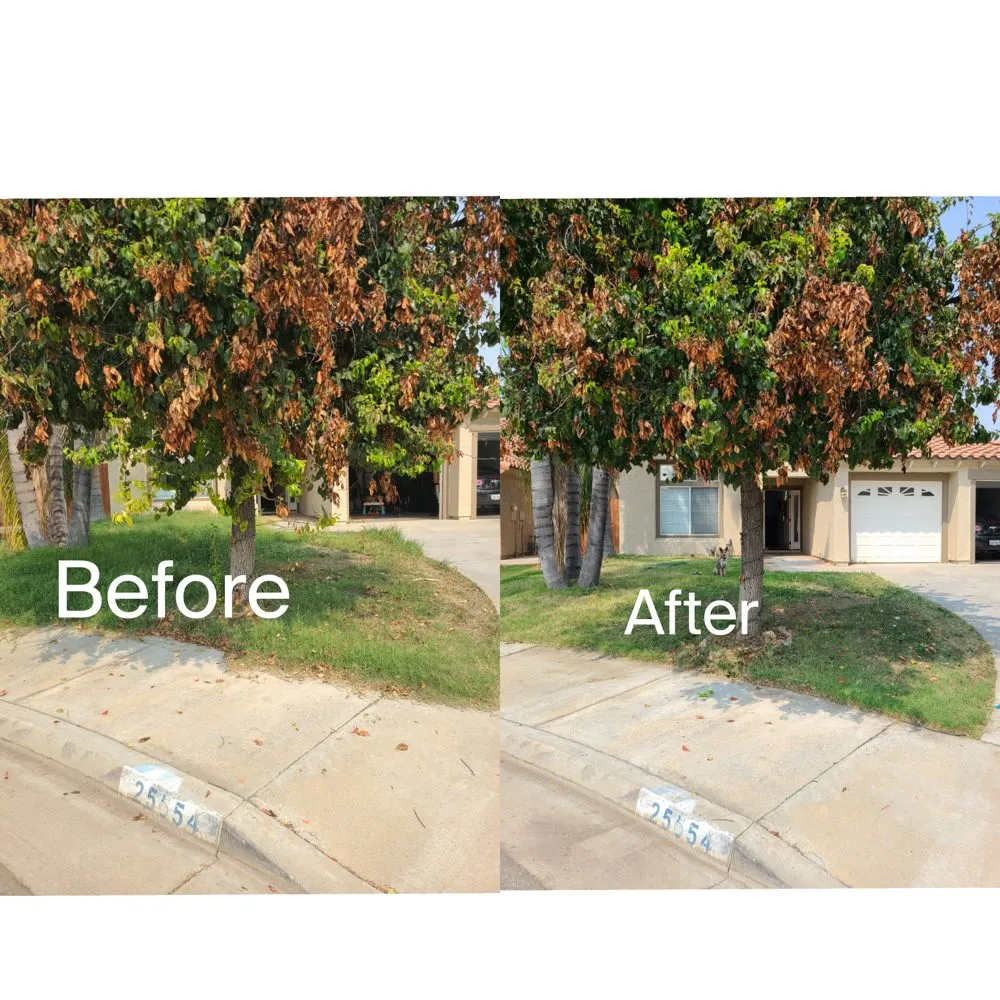 Reliable landscape installation in Romoland, CA - Ricky’s Landscaping