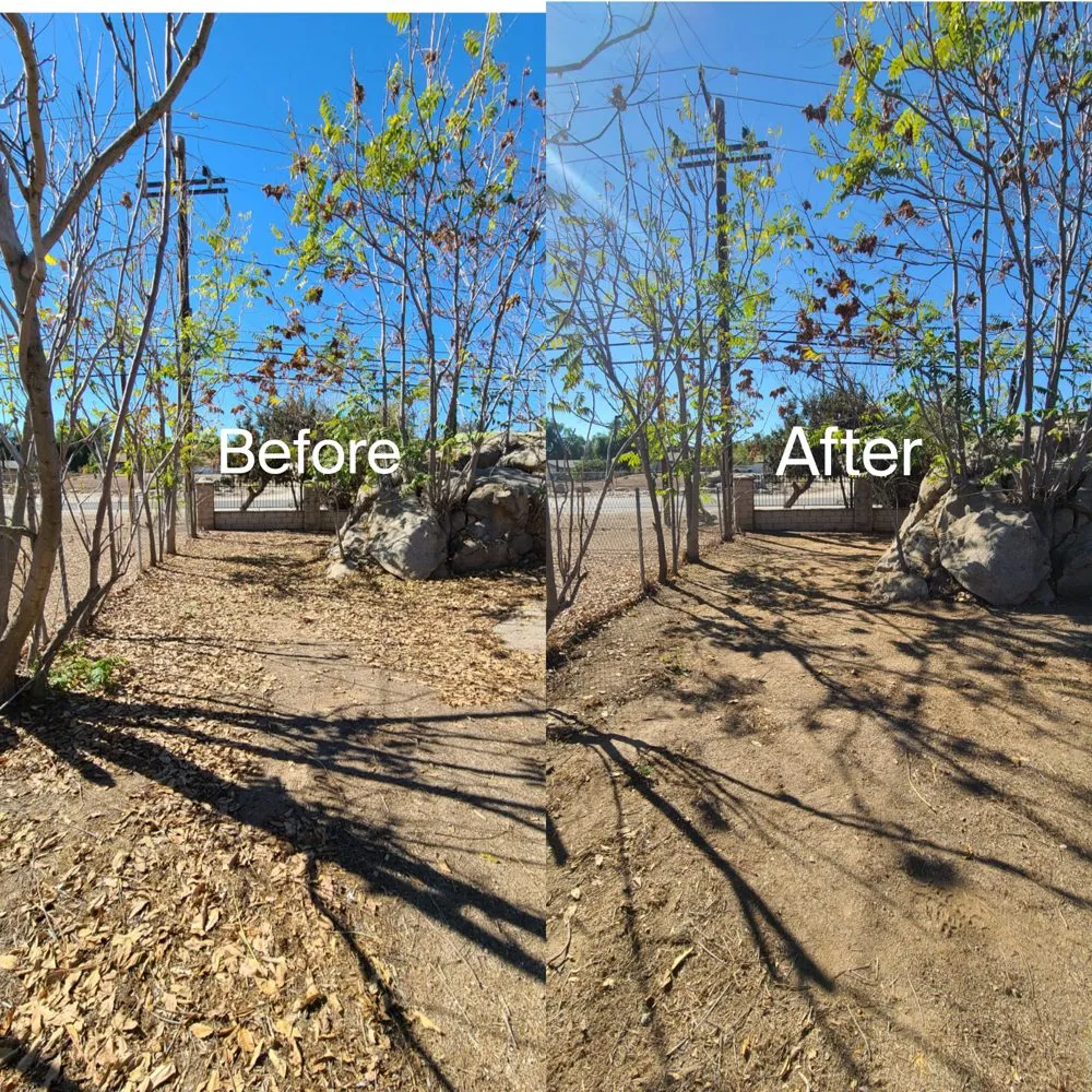 Reliable landscape design with custom design across Romoland, CA - Ricky’s Landscaping