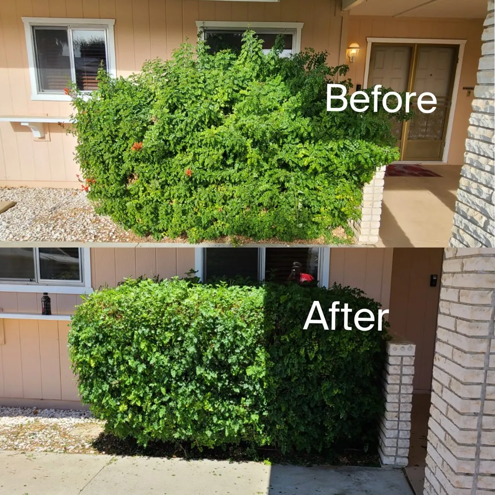 Local yard maintenance for year-round maintenance in Romoland, CA by Ricky’s Landscaping