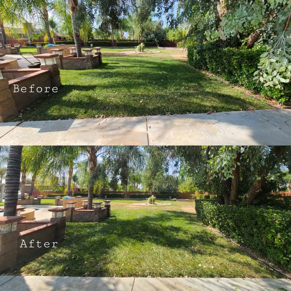 Trusted lawn care service for residential properties in Romoland, CA by Ricky’s Landscaping