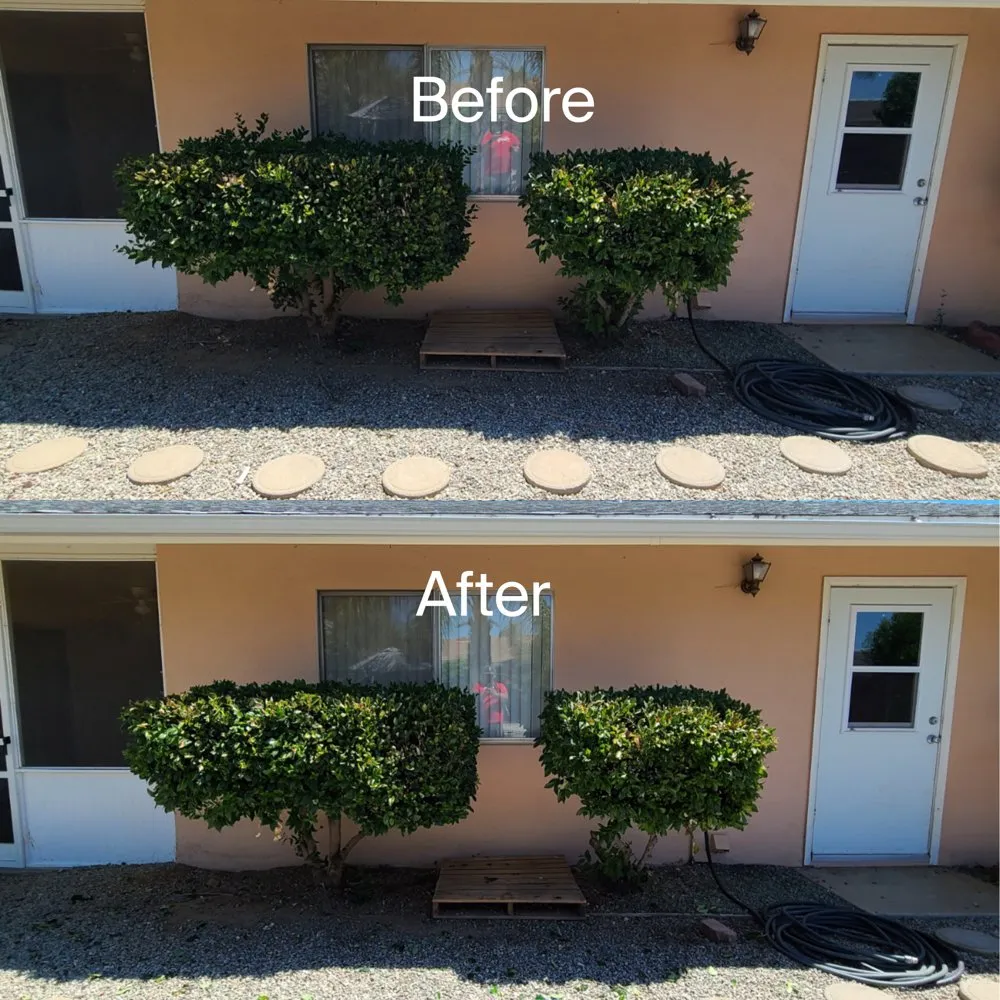 Local outdoor landscaping in Romoland, CA - Ricky’s Landscaping