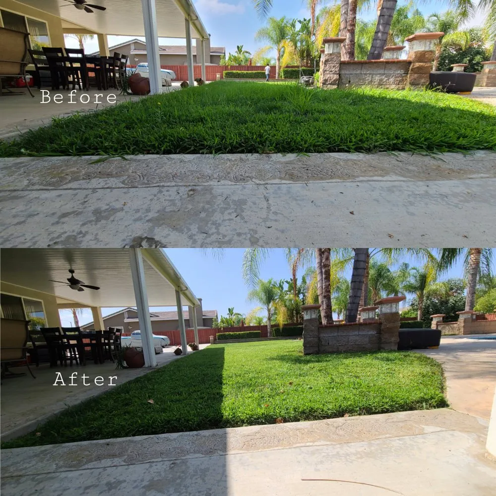 Local yard cleanup service in Romoland, CA - Ricky’s Landscaping