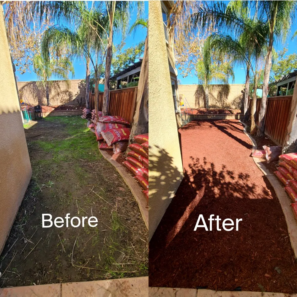 Top-rated yard cleanup service in Romoland, CA by Ricky’s Landscaping