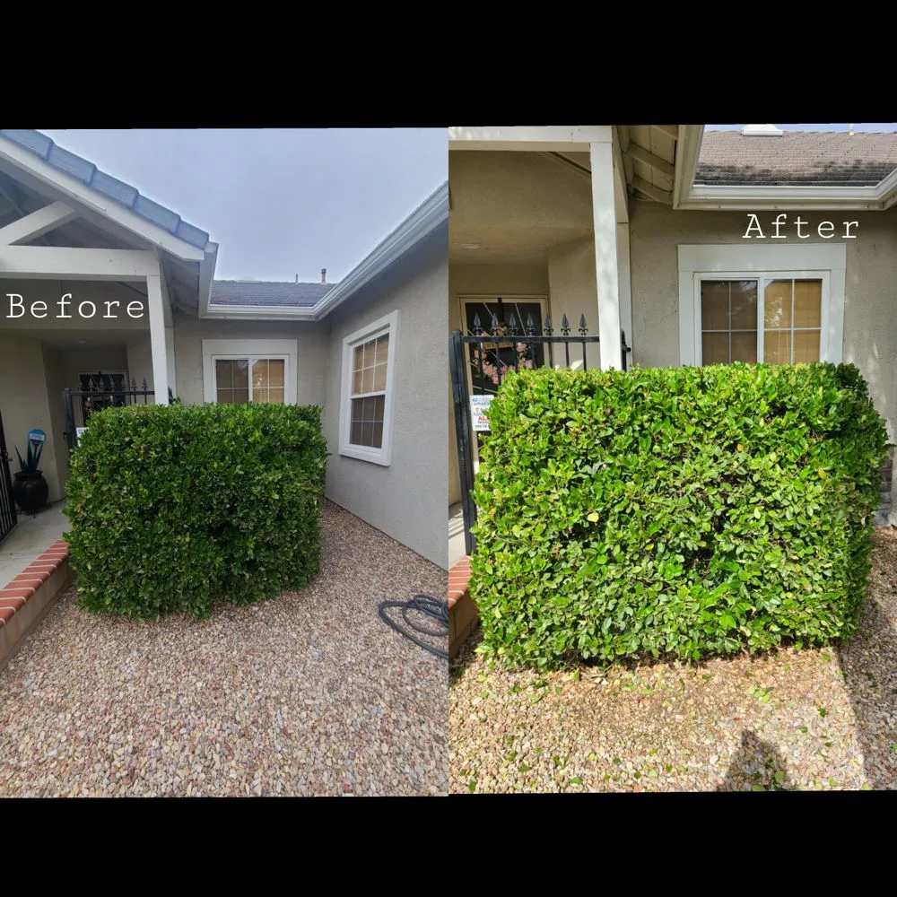 Local garden landscaping for year-round maintenance across Romoland, CA - Ricky’s Landscaping