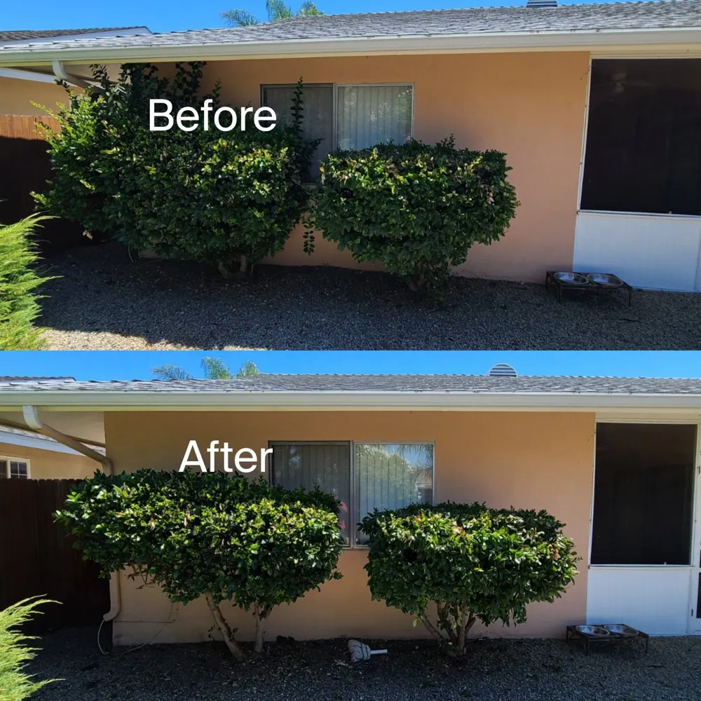 Reliable residential landscaping in Romoland, CA - Ricky’s Landscaping