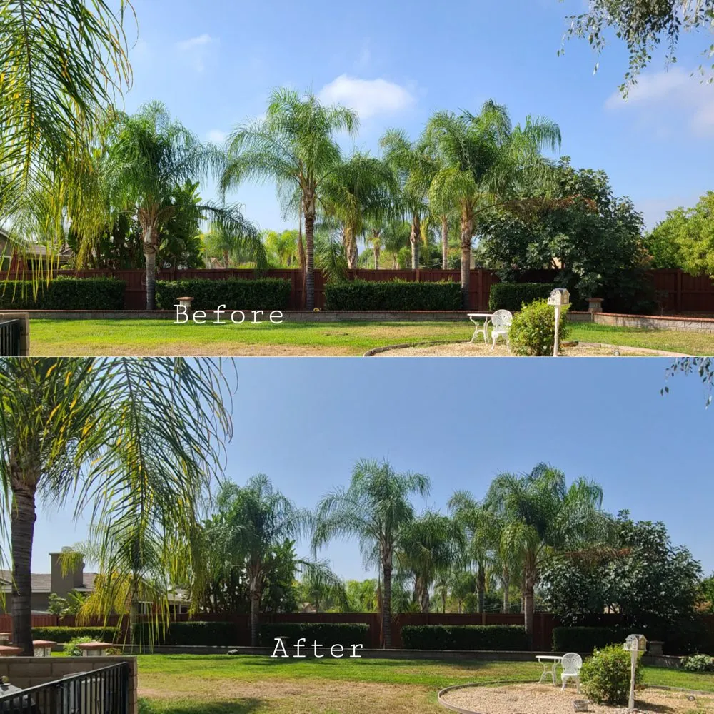 Affordable residential landscaping in Romoland, CA - Ricky’s Landscaping