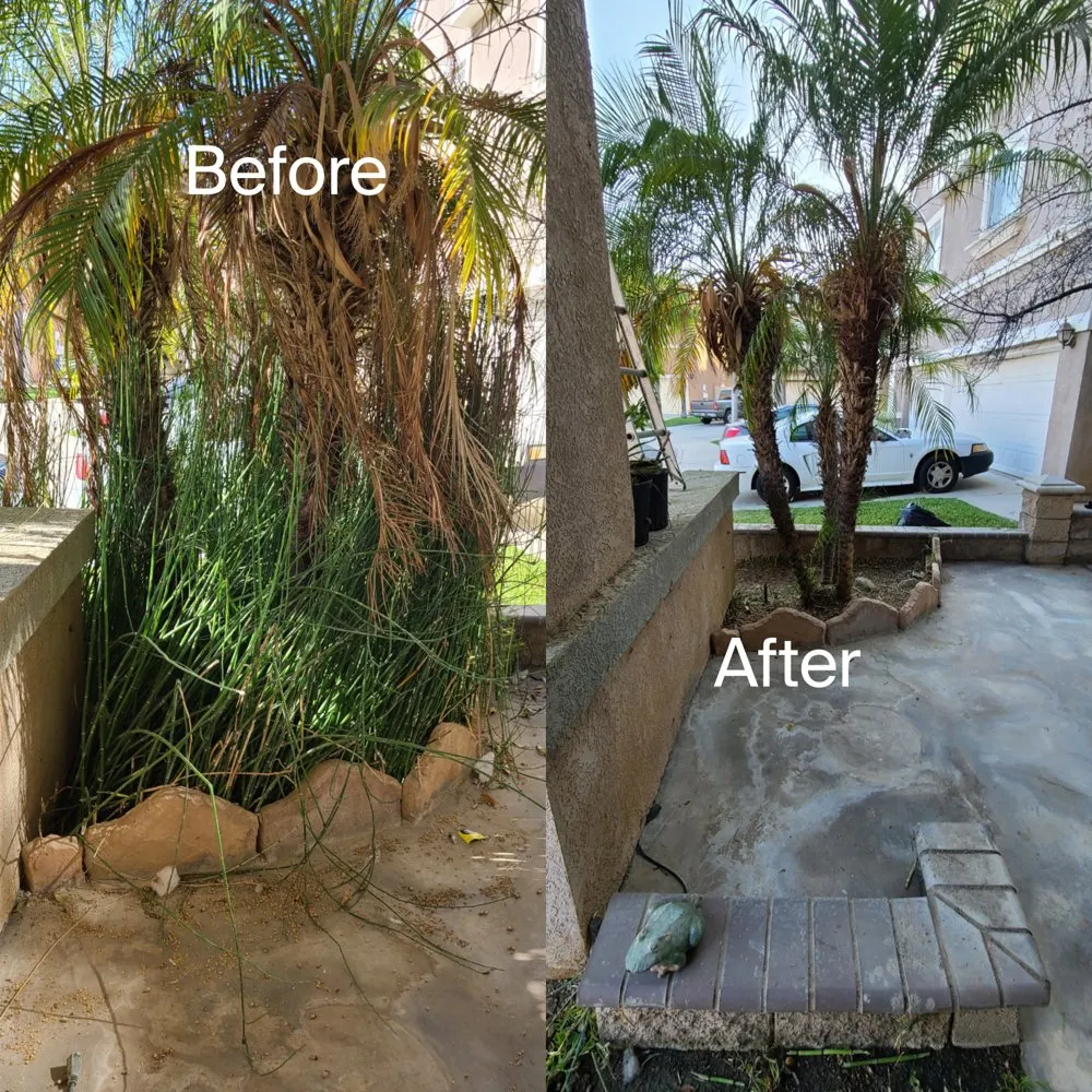 Expert landscape installation for homes across Romoland, CA - Ricky’s Landscaping