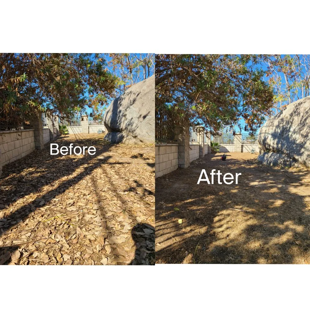 Expert garden landscaping for beautiful yards across Romoland, CA - Ricky’s Landscaping