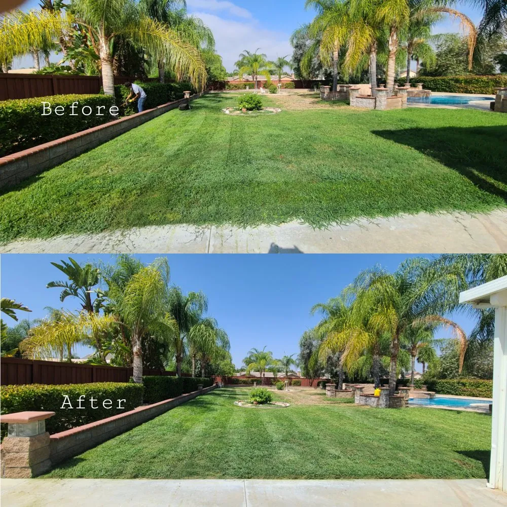 Affordable yard cleanup service in Romoland, CA - Ricky’s Landscaping