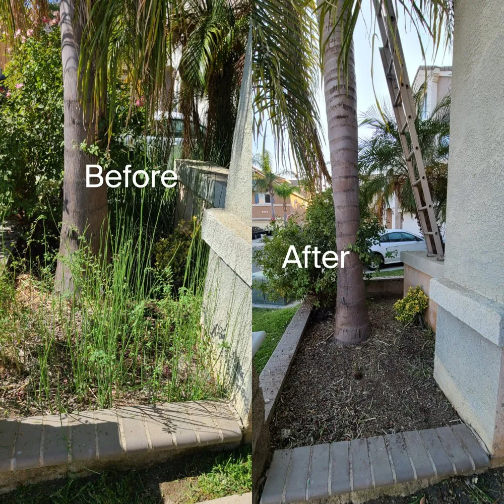 Top-rated landscape installation for beautiful yards in Romoland, CA by Ricky’s Landscaping