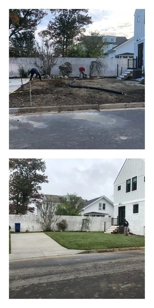 Local lawn care service near you in Springfield, VA by Rickys Lawn and Landscaping Services