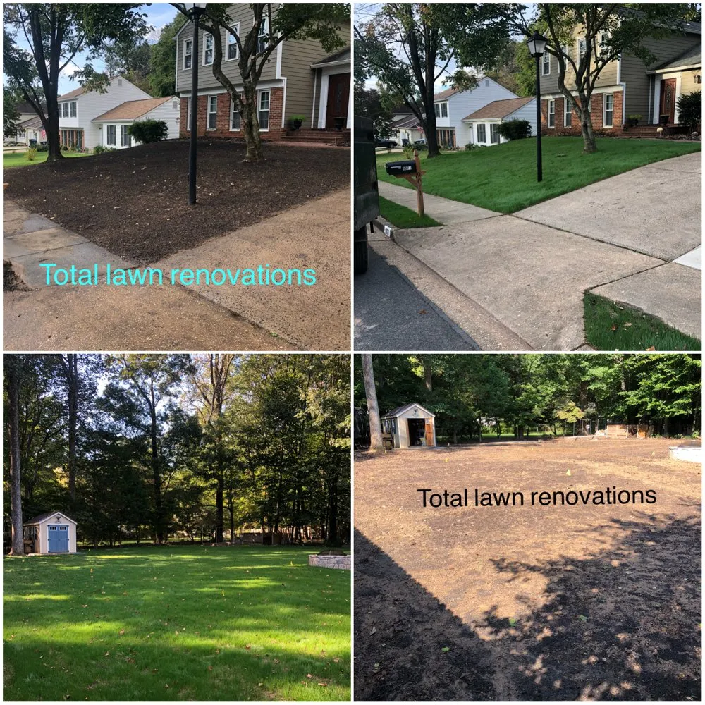 Expert landscape installation with custom design in Springfield, VA by Rickys Lawn and Landscaping Services