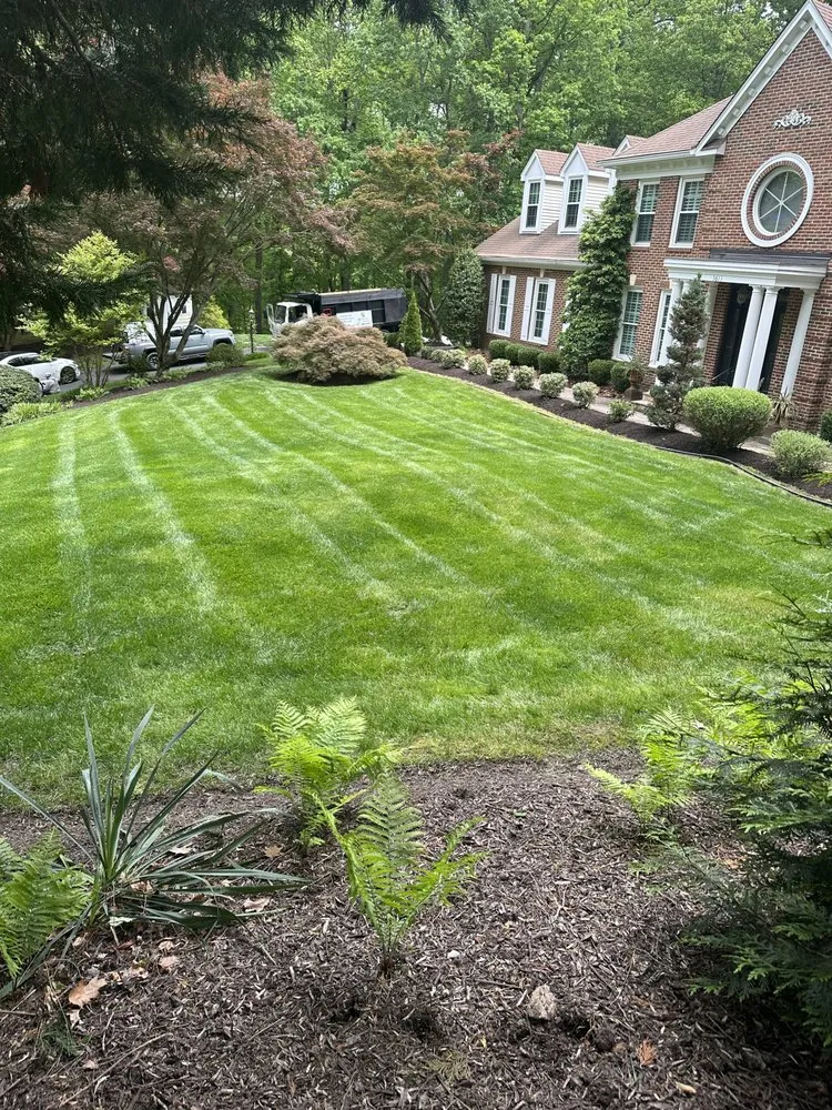 Affordable yard cleanup service experts serving Springfield, VA - Rickys Lawn and Landscaping Services