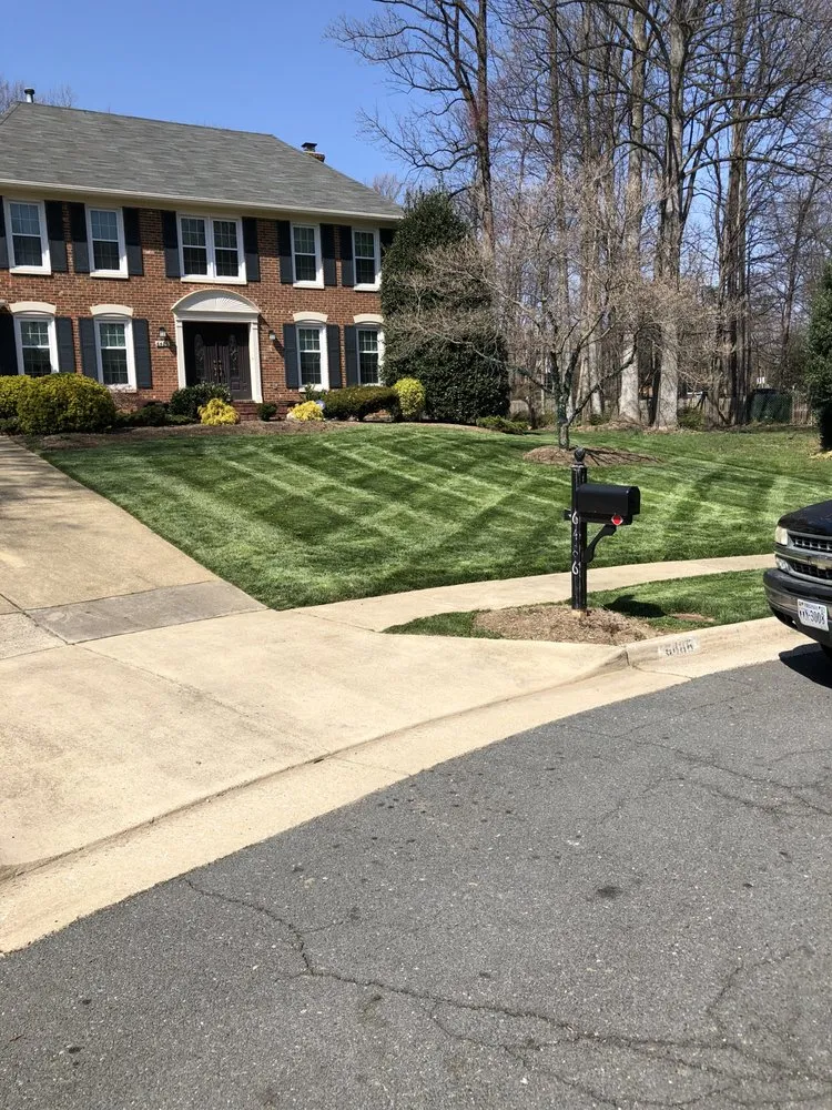 Trusted landscaping services in Springfield, VA - Rickys Lawn and Landscaping Services