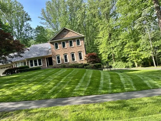 Rickys Lawn and Landscaping Services