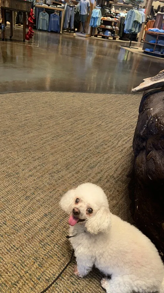 Affordable residential landscaping in Broken Arrow, OK by Ricky’s Lawn Service