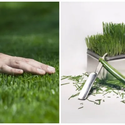 Local yard maintenance in Carthage, NC by Ricky's Lawn Service