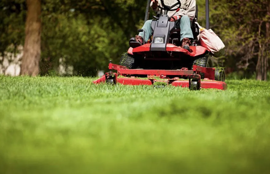 Expert landscape installation for residential properties across Martinsburg, WV - Ricky’s Litter & Yard Waste Removal
