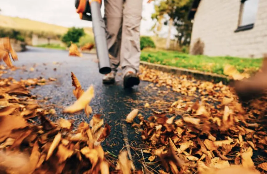 Affordable landscaping services near you across Martinsburg, WV - Ricky’s Litter & Yard Waste Removal