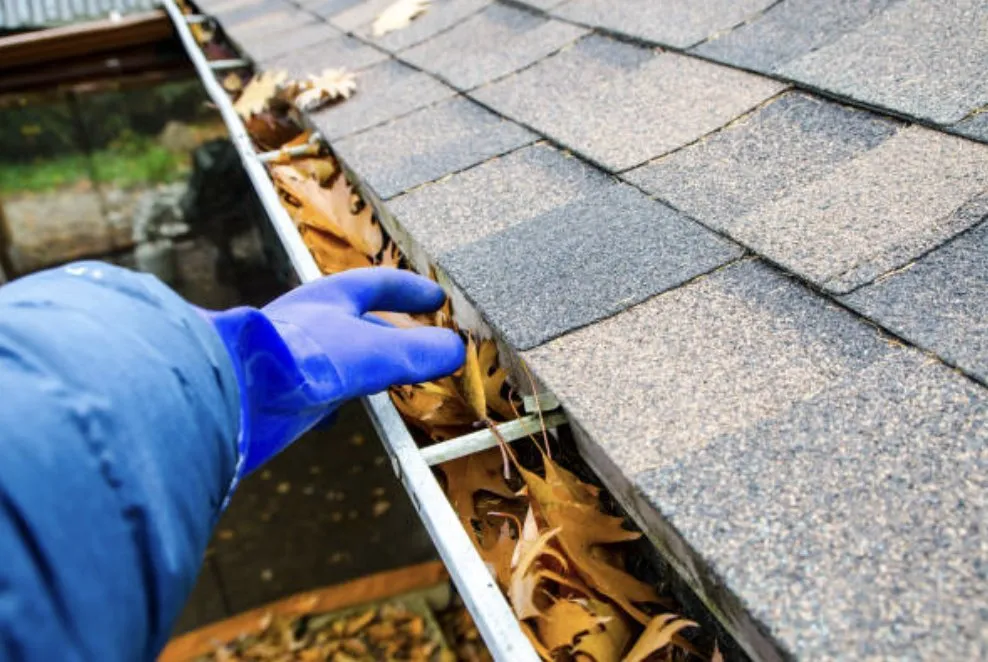 Reliable lawn care service near you in Martinsburg, WV by Ricky’s Litter & Yard Waste Removal