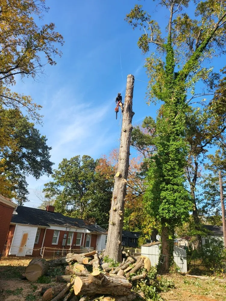 Expert landscaping services with custom design across Charlotte, NC - Ricky's Tree and Landscaping Services