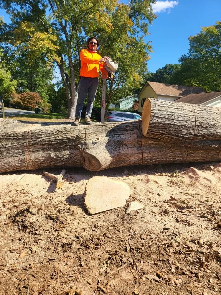 Professional residential landscaping in Charlotte, NC - Ricky's Tree and Landscaping Services