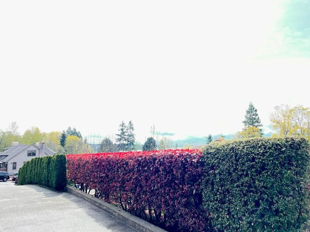 Expert garden landscaping experts serving Federal Way, WA - Ricmar Landscaping and Excavations