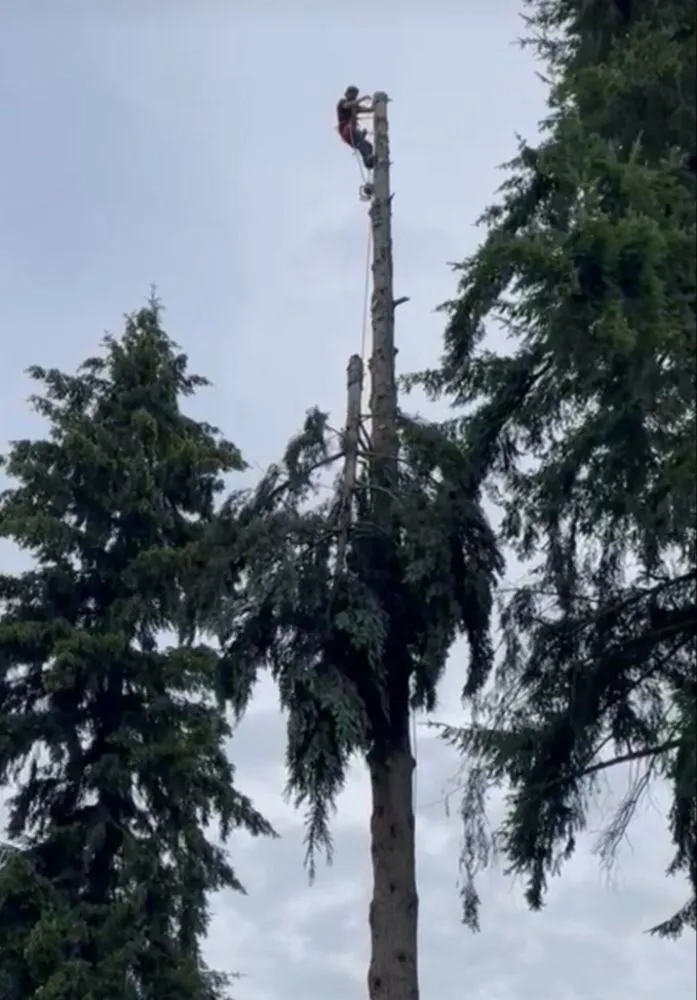 Custom outdoor landscaping in Federal Way, WA - Ricmar Landscaping and Excavations