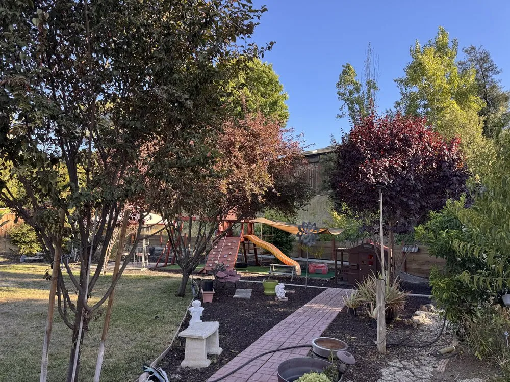 Trusted lawn care service experts serving Campbell, CA - Rico Landscape