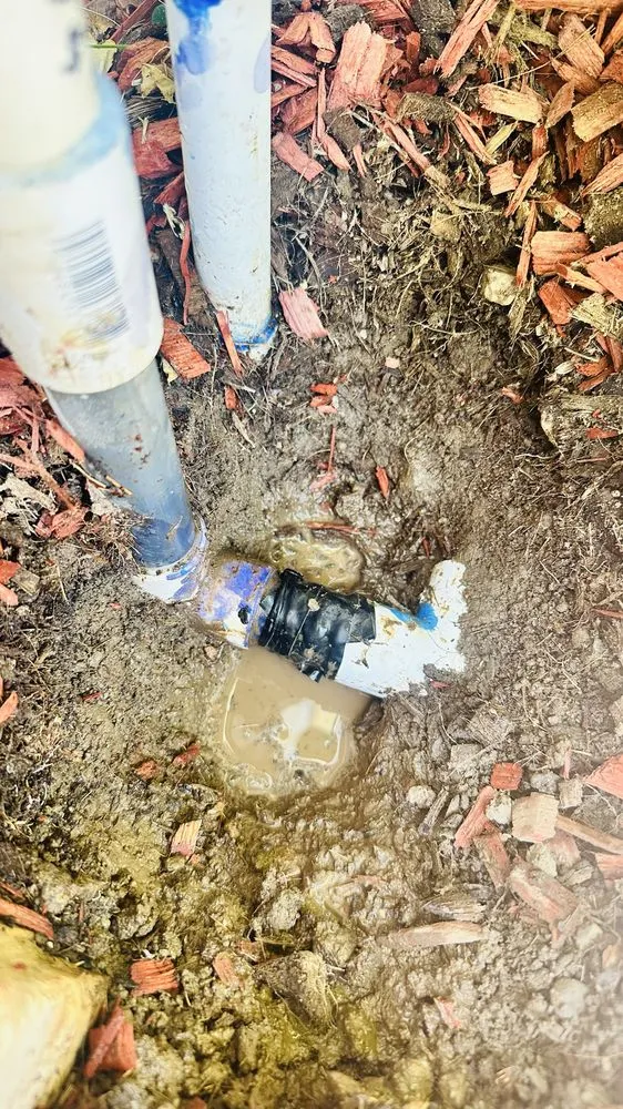 Local residential landscaping experts serving Campbell, CA - Rico Landscape