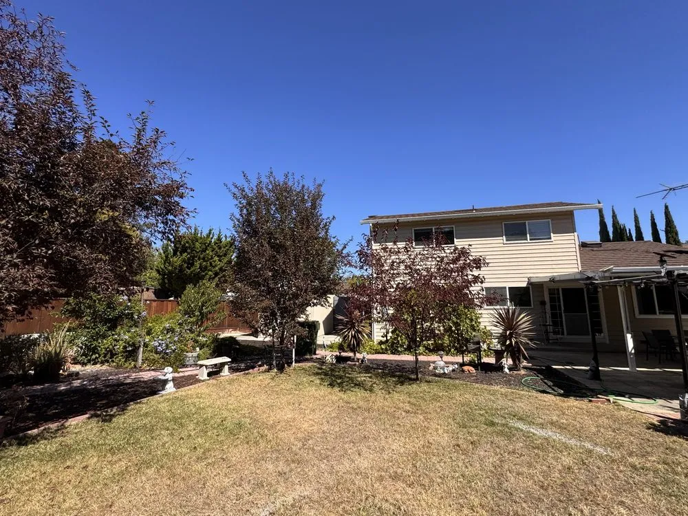 Local lawn care service for beautiful yards in Campbell, CA by Rico Landscape