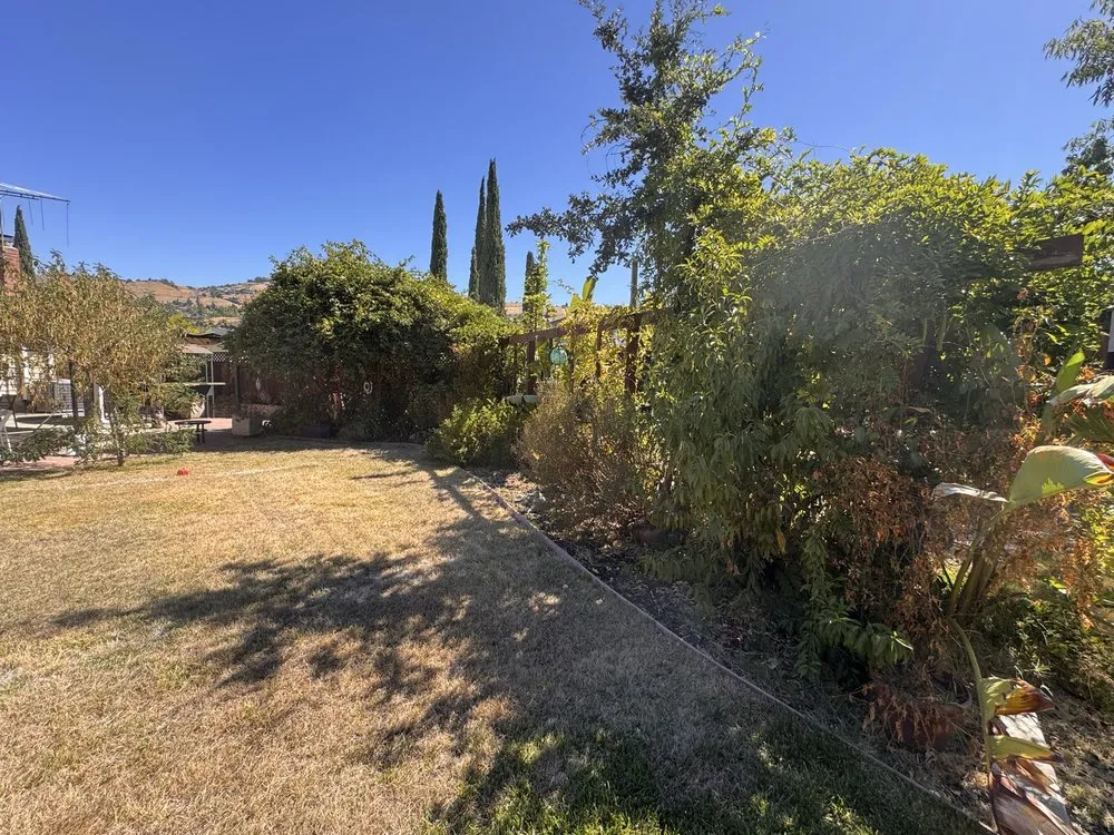 Custom lawn care service in Campbell, CA by Rico Landscape