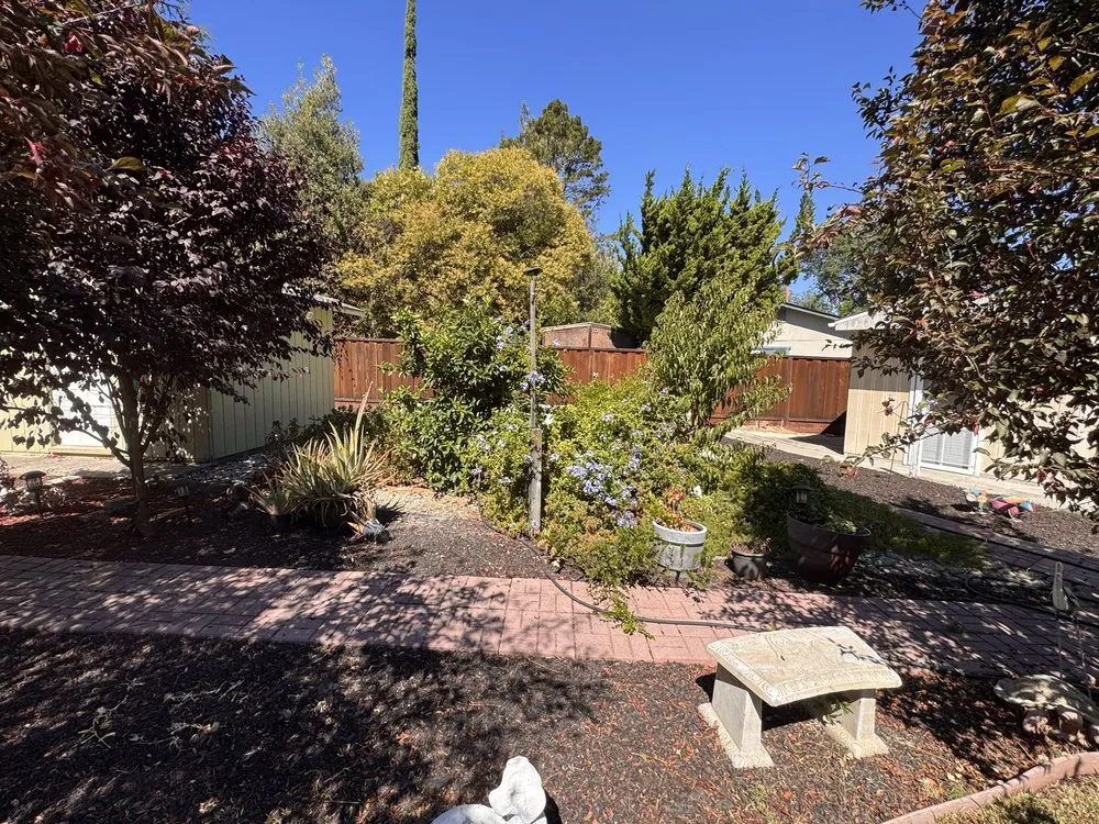 Top-rated lawn mowing service in Campbell, CA by Rico Landscape